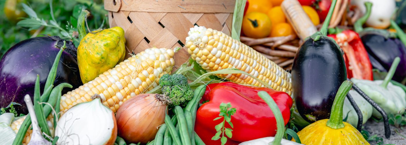 Composition of fresh vegetables in baskets on blurred vegetable garden background, harvest concept.