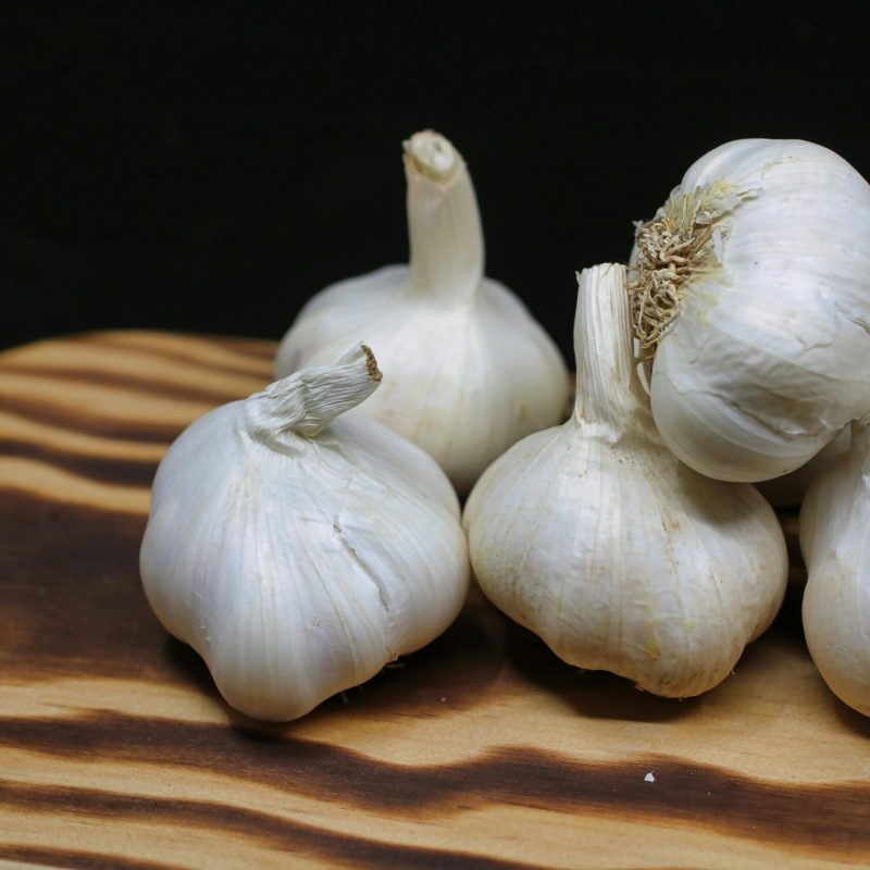 GARLIC