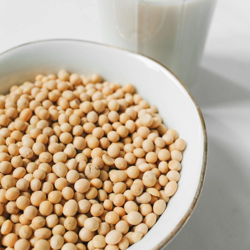 Soya Bean